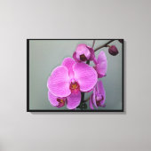 PINK ORCHID Leinwand (Vorderseite)