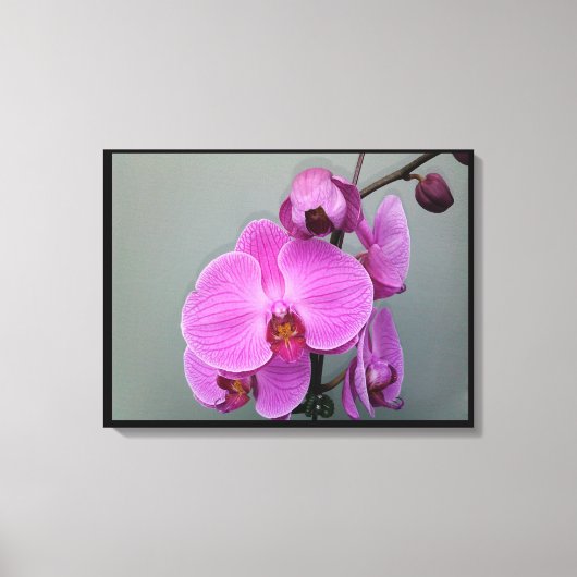 PINK ORCHID Leinwand (Vorderseite)