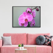 PINK ORCHID Leinwand (Insitu (Wohnzimmer))