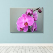 PINK ORCHID Leinwand (Insitu (Holzboden))