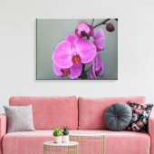 PINK ORCHID Leinwand (Insitu (Wohnzimmer))