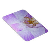Pink Orchid Magnet (Rechte Seite)