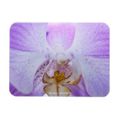 Pink Orchid Magnet (Horizontal)