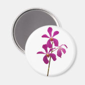 Pink Orchid Magnet (Vorderseite/Rückseite)