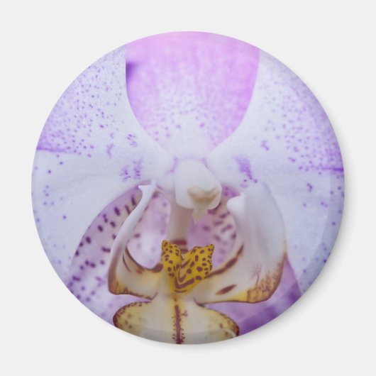 Pink Orchid Magnet (Vorne)