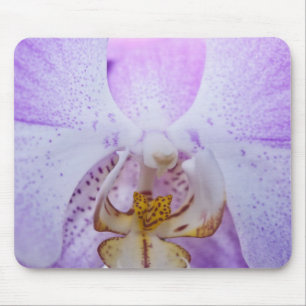 Pink Orchid Mousepad