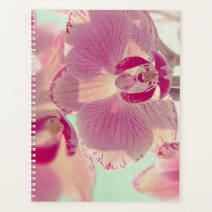Pink Orchid Planer