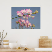 Pink Orchid Poster (Küche)