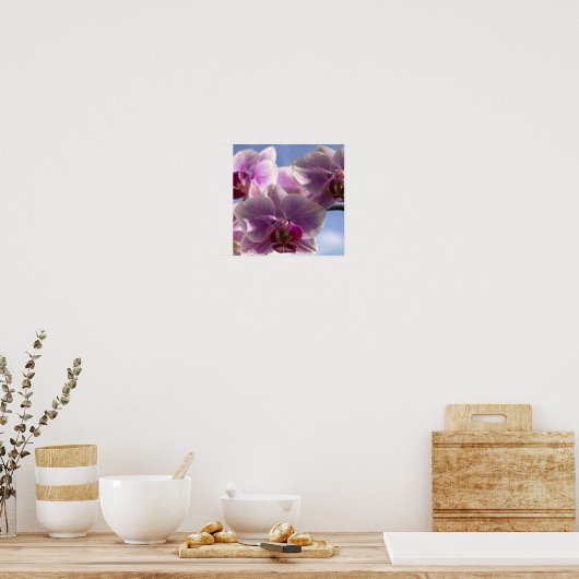 Pink Orchid Poster (Küche)