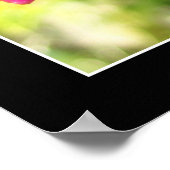 Pink Orchid Poster (Ecke)