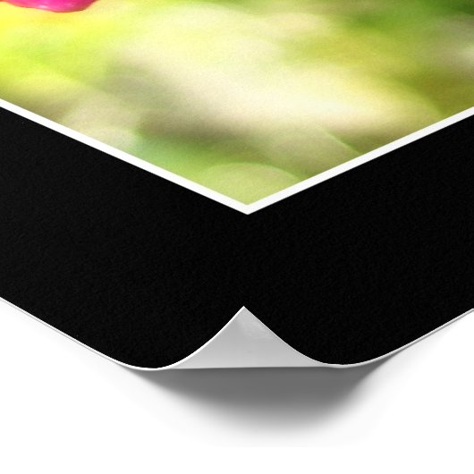 Pink Orchid Poster (Ecke)