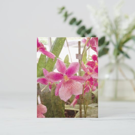 Pink Orchid Postkarte (Stehend Vorderseite)