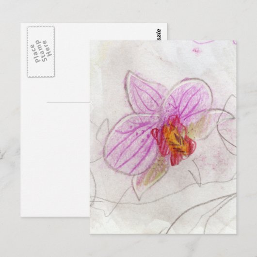 Pink Orchid Postkarte (Vorne/Hinten)