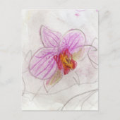 Pink Orchid Postkarte (Vorderseite)