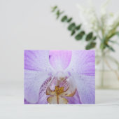 Pink Orchid Postkarte (Stehend Vorderseite)