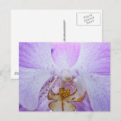 Pink Orchid Postkarte (Vorne/Hinten)