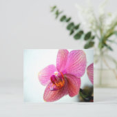 Pink Orchid Postkarte (Stehend Vorderseite)