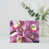 Pink Orchid Postkarte (Stehend Vorderseite)