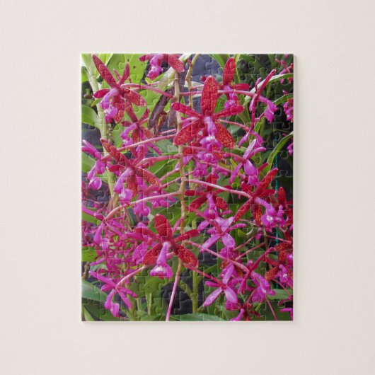 Pink Orchid Puzzle (Vertikal)