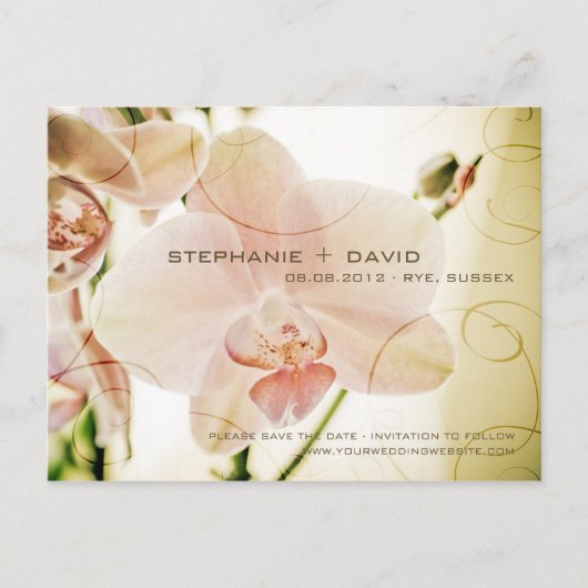 Pink Orchid Save the Date Postkarte (Vorderseite)