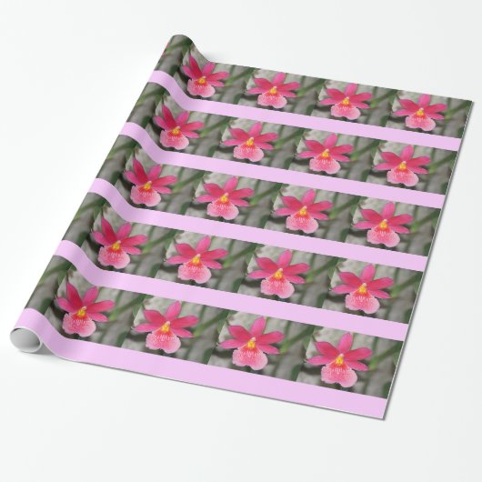 Pink Orchid Wrapping Paper Geschenkpapier (Ungerollt)