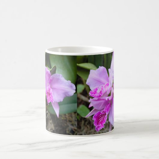 Pink Orchids Bouquet Kaffeetasse (Mittel)