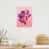 Pink Orchids Poster (Küche)