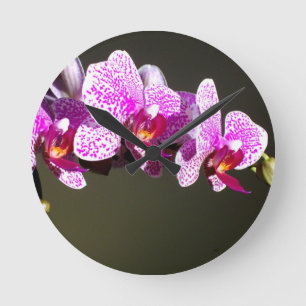 Pink Orchids Runde Wanduhr