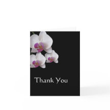 Pink Orchids Vielen Dank