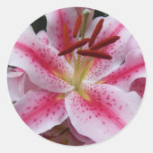 Pink Oriental Lifloral Runder Aufkleber (Vorderseite)