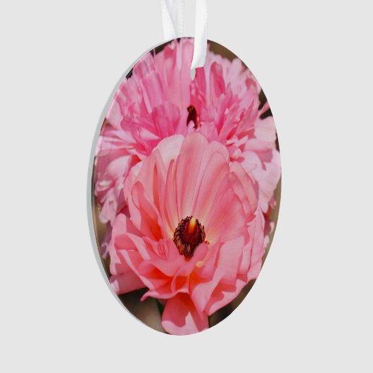 Pink Ornament (Vorderseite)