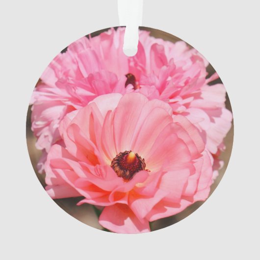 Pink Ornament (Rückseite)