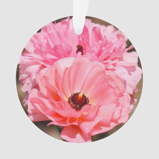 Pink Ornament (Vorderseite)