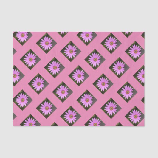 Pink Osteospermum Tissue Paper Seidenpapier (Vorderseite)