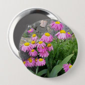 Pink Painted daisy Blume Naturfotografie Button (Vorne & Hinten)