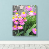 Pink Painted daisy Blume Naturfotografie Leinwanddruck (Insitu (Holzboden))