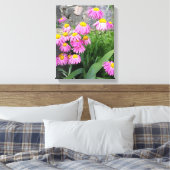 Pink Painted daisy Blume Naturfotografie Leinwanddruck (Insitu (Schlafzimmer))