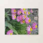 Pink Painted daisy Blume Naturfotografie Puzzle (Horizontal)