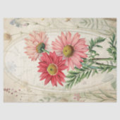 Pink Painted Daisy Pyrethrum Botanical Floral Seidenpapier (Vorderseite)
