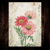 Pink Painted Daisy Pyrethrum Botanical Floral Seidenpapier
