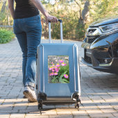 Pink Painted daisy wild Blume Nature Foto Aufkleber (Koffer Insitu)