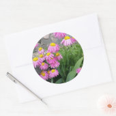 Pink Painted daisy wild Blume Nature Foto Runder Aufkleber (Umschlag)