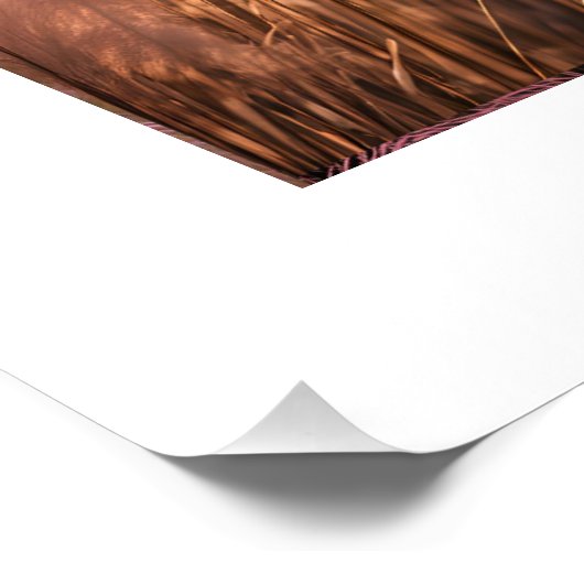 Pink Pam-Pass Ästhetik Poster (Ecke)