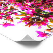 Pink Panoramic Mandala Poster (Ecke)