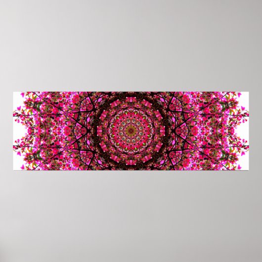 Pink Panoramic Mandala Poster (Vorne)