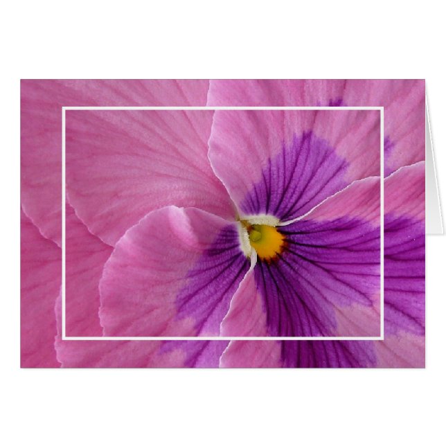 Pink Pansie Card (Vorderseite (Horizontal))