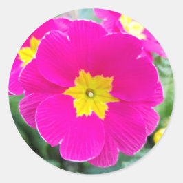 Pink Pansy im Park Classic Round Aufkleber