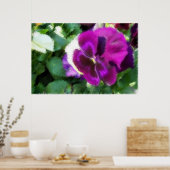 Pink Pansy Soft Sketch Poster (Küche)