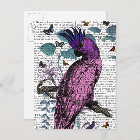 Pink Parrot Postkarte (Vorne/Hinten)