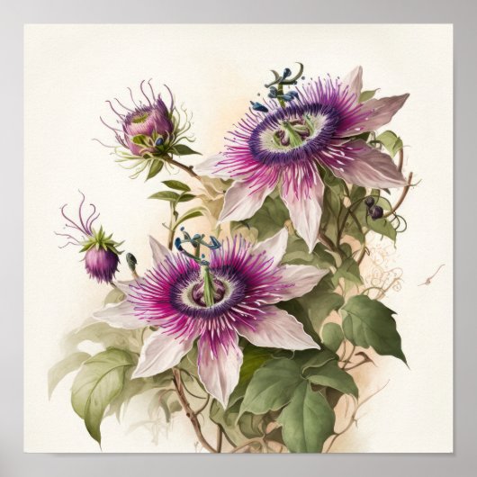 Pink Passion Blume Art Print Poster (Vorne)